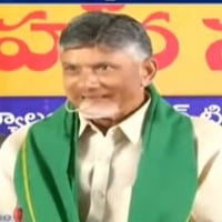 Chandrababu satires on CM Jagan and YCP leade