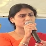 sharmila slams kcr