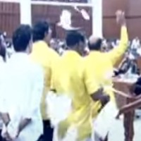 TDP MLAs walk out from Assembly