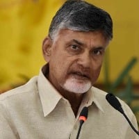 chandra babu reacts on repeattempt on britain lady in nellore district