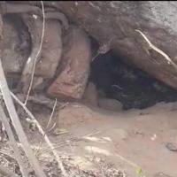 Huge Pythons spotted in a cave 