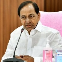 kcr suffered from root nerve pain