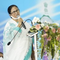 Mamata Banerjee opines on assembly elections