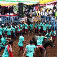 25 injured in 'jallikattu' event at TN village