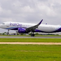Indigo to resume scheduled international flights from April