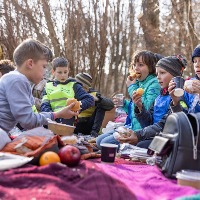 Schools in Kyiv continues teaching via online 