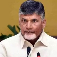 Chandrababu Talks To NRIs On Party Anninversary