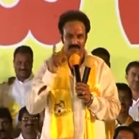 Balakrishna message in TDP Formation Day celebrations 