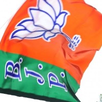 bjp gets 100 seats in rajya sabha