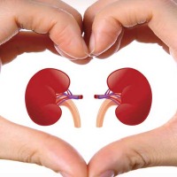 Doctors share simple tips to keep your kidneys healthy