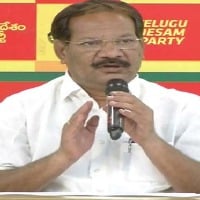 Nakka Anand Babu expressed dissatisfaction on new districts formation 