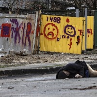 Civilian killings in Ukraines Bucha deeply disturbing