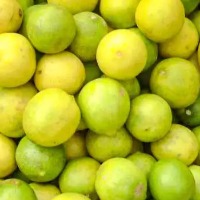 nimbu lemon prices soared