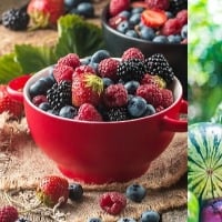 Fruits, veggies rich-diet may help lower risk of diabetes