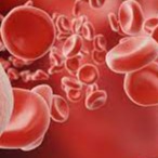 Blood markers of health Tips to boost haemoglobin levels in the body