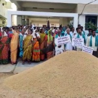 Telangana farmers dump paddy in front of BJP MP's house