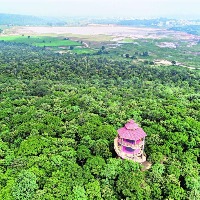 Hyderabad gets 'Tree City of the World tag' for second year