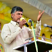Chandrababu video conference with party leaders