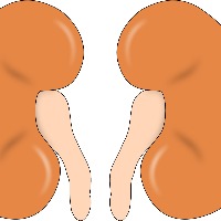 Low-dose lithium may help improve kidney health