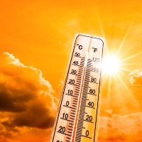 IMD issues four day heat wave warning for Andhra Pradesh