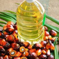 Edible oil prices likely to shoot up 