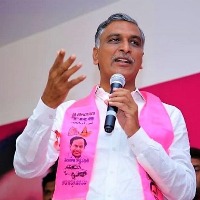 harish rao slams bjp govt