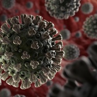 Corona Virus slowly increasing in India