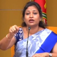 TDP leader Vangalapudi Anitha fires on Roja