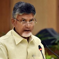 chandrababu slams ycp