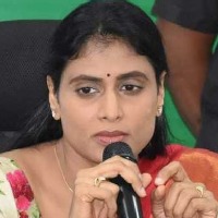 sharmila slams kcr ktr