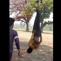 A man was thrashed by 5 people as he was hung upside down  