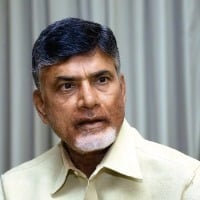 Altercation between TDP chief and cops during Vizag tour; TDP leaders held
