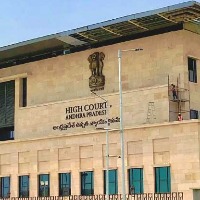 high court asks status report 