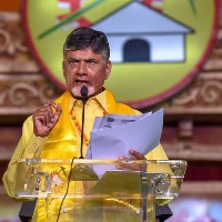 Chandrababu says party cadre do not fear cases 