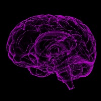 New drug that halts recurring brain tumour growth identified
