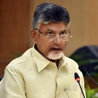 N Chandrababu Naidu on sedition law