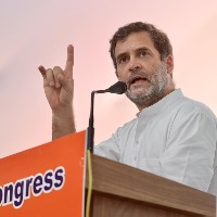 BJP only seeks to divide and suppress: Rahul Gandhi