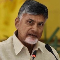 chandrababu comments in tele conference with tdp village and mandal committees