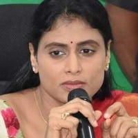 sharmila slams trs