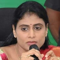 KCR destroying universities says YS Sharmila