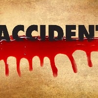 Seven killed in Andhra road accident