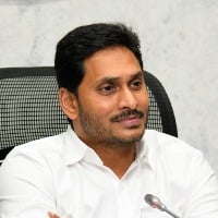 CM Jagan thanks AP people for their love and affection