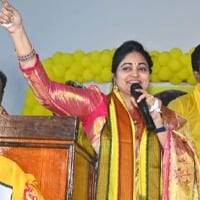 Actress and TDP Leader Divyavani once again announced resignation
