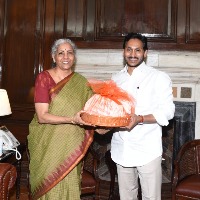 ap cm ys jagan meets union minister nirmala sitharaman