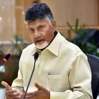 Chandrababu Fires On Govt Rule Against Bidders Not To Go For Courts for Bills