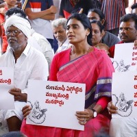 ys sharmila fires on kcr government