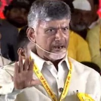Chandrababu Ready to districts Tour from june 15th