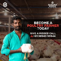 Give a Missed Call and become a Suguna Chicken Farmer