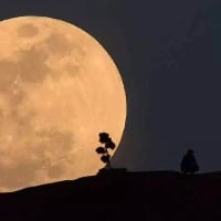 Strawberry super moon rises tonight