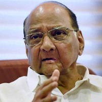 Sharad Pawar gives clarity on contesting in President elections